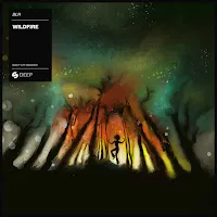 Blr — Wildfire (Festival Mix) — обложка
